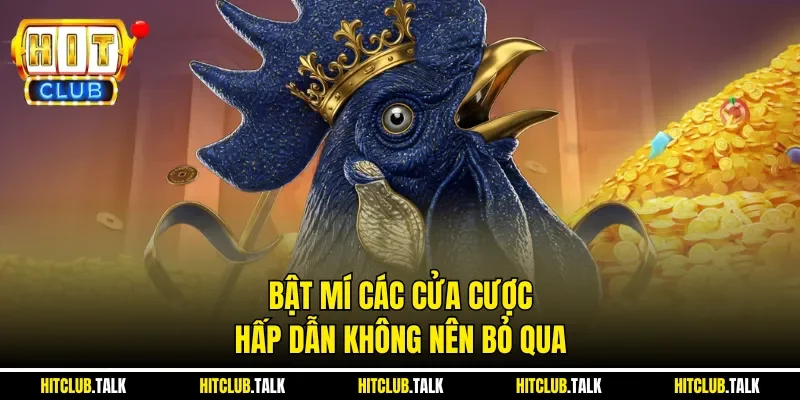 Bật mí các cửa cược hấp dẫn không nên bỏ qua